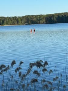 VerlaVerlan Satumaa的两个人在大水体中游泳