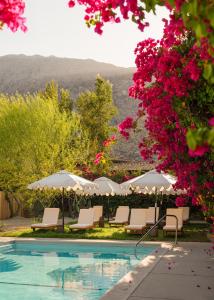 棕榈泉卡萨科迪酒店的一个带椅子和粉红色鲜花的游泳池