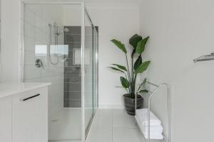 墨尔本VAQUAY Contempo In Flemington的带淋浴和盆栽的浴室