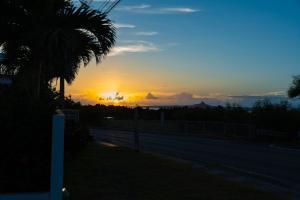 本部Jacuzzi Terrace Okinawa IMS的棕榈树的路上的日落