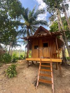 瓜隆岛Lily's Beach Bungalows的前面有梯子的小树屋