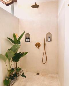 塞隆贝拉纳克Luana Lombok的一间带淋浴的浴室,里面装有植物