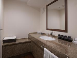 札幌Vessel Inn Sapporo Nakajima Park的一间带水槽和镜子的浴室