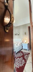 阿杰罗拉Casa Villani的一间设有一张床和一个带镜子的门的房间