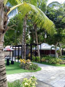 Pili伊丽莎白酒店 - 纳加的公园里的棕榈树,有建筑