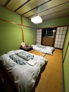 汤泽町苗場 中村屋的一间设有两张床铺的客房,位于带绿色墙壁的房间内
