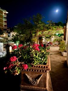 索伦托悬崖旅馆的夜晚在庭院里装满鲜花的篮子