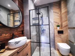 库多瓦-兹德鲁伊Apartament Roku 2024' - JELEŃ & NATURA的一间带水槽和淋浴的浴室