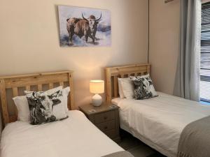 克拉伦斯Clarens The Paddocks 21的卧室内的两张床,上面有公牛的照片