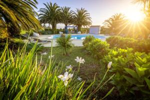 PiedadeO Zimbreiro的一个带游泳池和棕榈树的花园