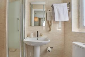 巴黎巴黎北站梅尔里勒酒店的一间带水槽、镜子和淋浴的浴室