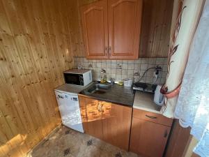 什切尔克POKOJE GOŚCINNE U ANIELI的一间带水槽和微波炉的小厨房