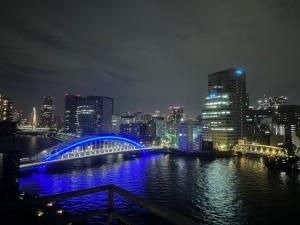 东京ulu Tokyo的夜间在河上与城市的蓝色桥梁