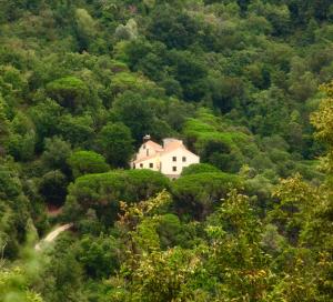 Vezzi PortioLe Petit Chateau的森林中间的白色房子