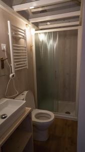 圣卡尼兹Camping Breznik的带淋浴、卫生间和盥洗盆的浴室