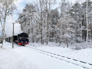 巴贝Strandhaus Ostseewelle mit Terrasse的下雪时沿着轨道行驶的火车