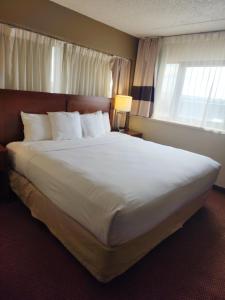 麦迪逊麦迪逊机场康福特茵酒店 的一张大白色床,位于酒店带窗户的房间内