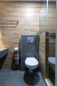 斯卡拉伯塔麦斯安提戈涅景观公寓的一间带卫生间和水槽的浴室