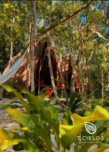 巴卡拉尔7 CIELOS BACALAR.的树林中的房屋,带帐篷