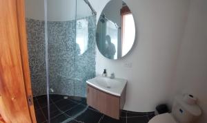 马尼萨莱斯Casa Palermo Manizales的浴室配有盥洗盆和带镜子的淋浴
