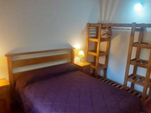 圣卡洛斯-德巴里洛切Cabañas lo de Ani Casa 1的一间卧室配有一张带紫色床罩的床