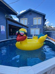 迈阿密Blue Little Havana的一座房子里的一个游泳池里的黄橡皮鸭