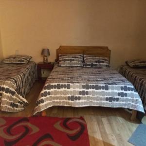 奥瓦列Hotel Arauco Ovalle的一间带两张床的卧室和地毯