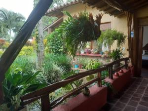 金巴亚Hotel del Campo的植物屋外的花园