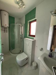 苏科尚Apartments by the sea Sukosan, Zadar - 12313的浴室配有卫生间、淋浴和盥洗盆。
