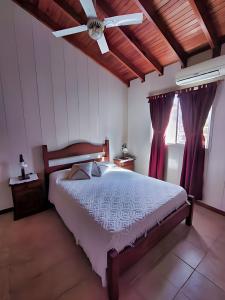 费德拉西翁Magnolia azul的一间卧室配有一张床和吊扇