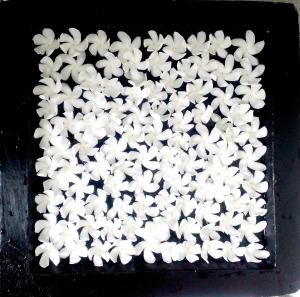 阿努拉德普勒Blooming Holiday Resort的黑盘上一堆白色的花