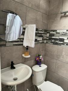 亚美尼亚Alojamiento Villasofia的一间带水槽、卫生间和镜子的浴室
