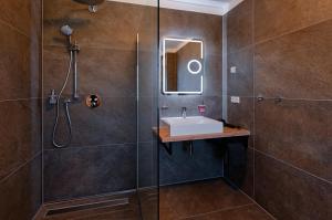 卡罗利嫩西尔施卢伊斯特公园酒店的一间带水槽和淋浴的浴室