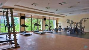 纳苏格布皮克德洛罗公寓的健身房,配有各种跑步机和机器