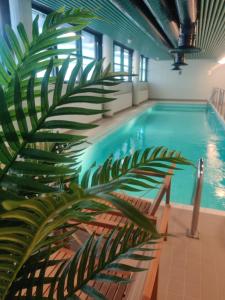 图尔库Hotel Linnasmäki的旁边是一座棕榈树的大型游泳池