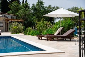布德瓦Sunset & Sunrise Villas in Stanisici-Two Villas With Common Pool的游泳池配有遮阳伞、椅子、长凳和遮阳伞