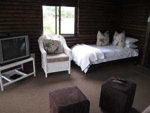 BalgowanMidlands Forest Lodge的一间卧室配有一张床、一台电视和一把椅子