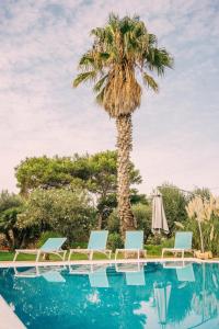 纳克萨Private Villa的一个带椅子和棕榈树的游泳池