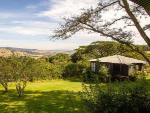 BalgowanMidlands Forest Lodge的绿色田野中间的小小屋