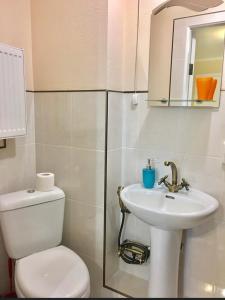敖德萨Vilari Odessa的浴室配有白色卫生间和盥洗盆。