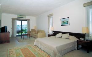 博德鲁姆Costa 3S Beach Hotel-All Inclusive的一间卧室设有一张床和一间客厅。