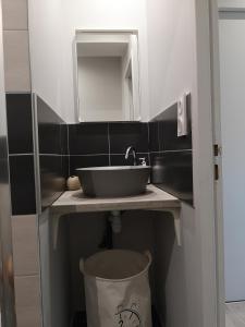圣普斯特恩耶尔Appartement proche CHU的一间带水槽和镜子的浴室
