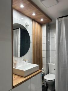 索科矿泉村Holiday Lux Apartment的一间带水槽和卫生间的浴室