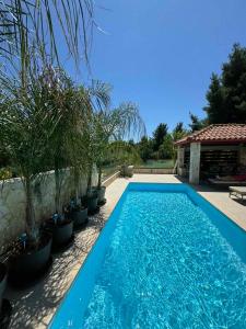 克里皮吉Sunny Seaside Villa-90 m from beach的一座种植了盆栽植物的蓝色游泳池,位于一座房子旁边