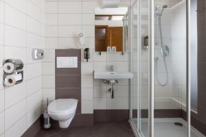 兹拉特霍里Hotel Praděd Thamm的浴室配有卫生间、盥洗盆和淋浴。