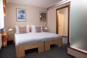 兹拉特霍里Hotel Praděd Thamm的卧室配有一张带两个枕头的大白色床