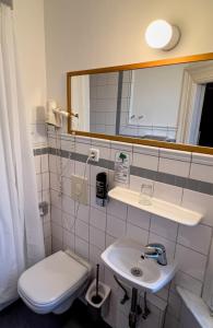 柏林奥利维尔广场梅歇尔酒店的一间带水槽、卫生间和镜子的浴室