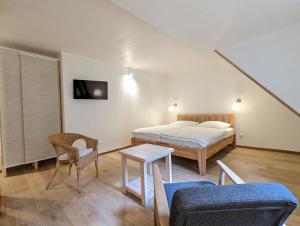 巴特格伦德Waldpension Harzer Waldwinkel的卧室配有1张床、1张桌子和1把椅子