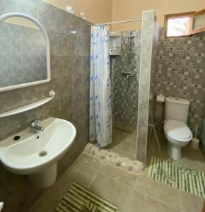 米多恩Djerba Rêve Vacances Emna EL Beya的一间带水槽、卫生间和淋浴的浴室