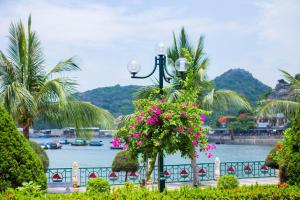 吉婆岛Gem Hostel的水边的街道灯,花朵